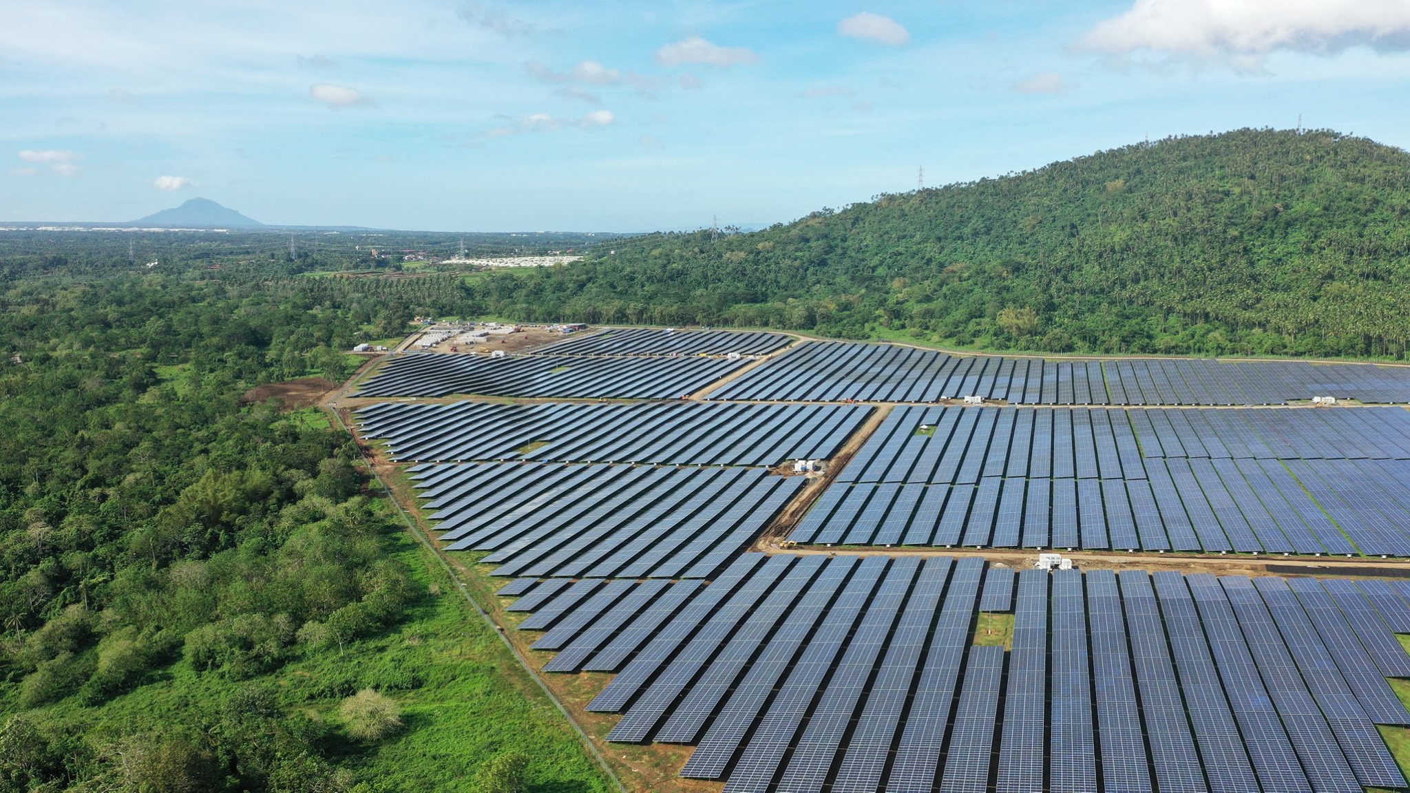 Alaminos Solar and Carbon Forest
